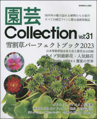 Collection Vol.31