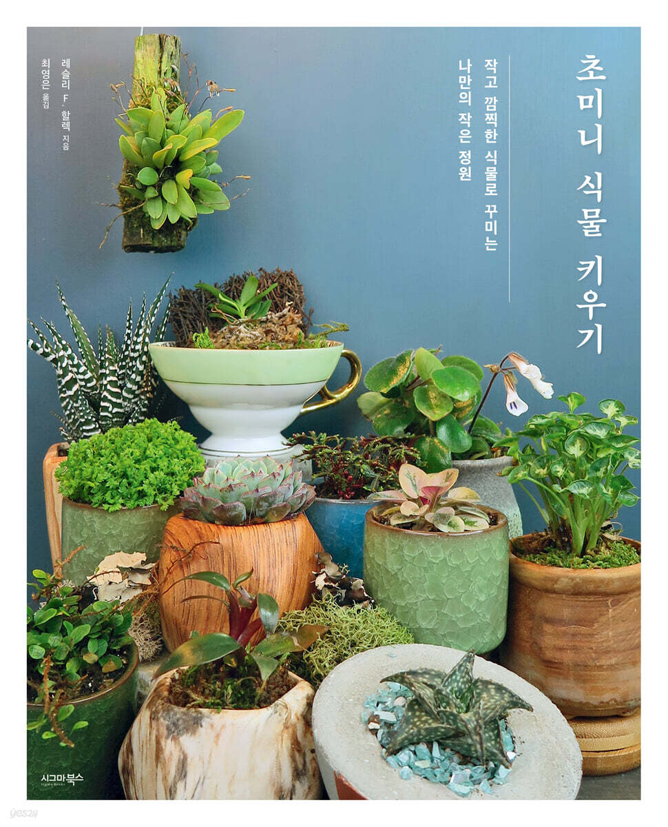 초미니 식물 키우기 