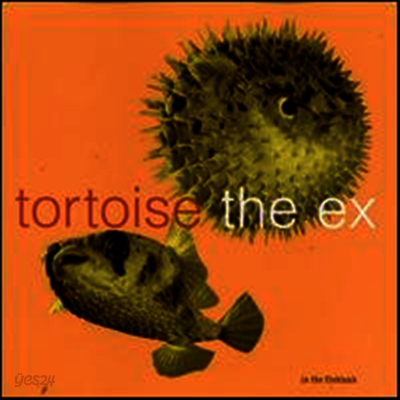 Tortoise & the Ex - In the Fishtank (EP)(LP)