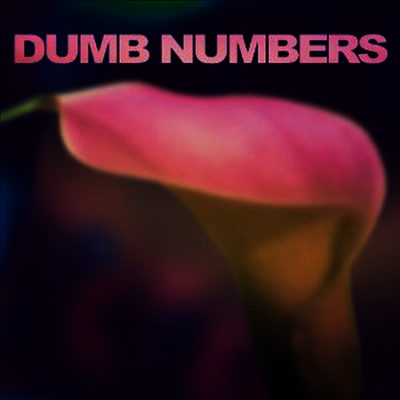Dumb Numbers — Dumb Numbers 앨범 커버