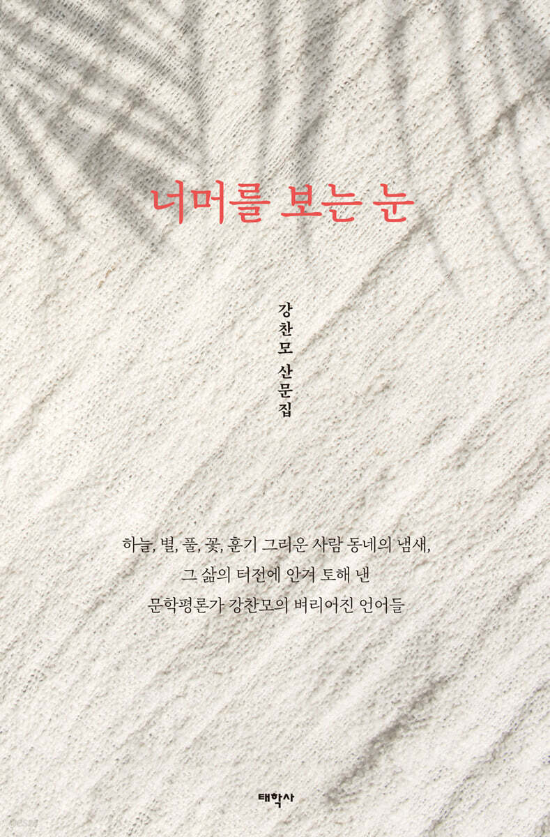 너머를 보는 눈