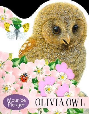 Olivia Owl