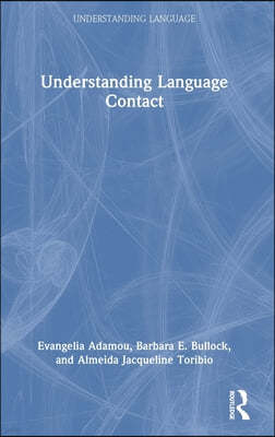 Understanding Language Contact