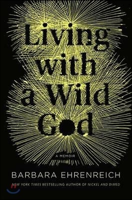 Living with a Wild God Lib/E: A Nonbeliever's Search for the Truth about Everything