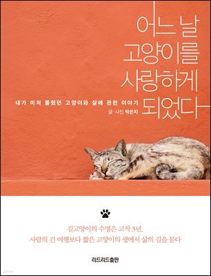 어느 날 고양이를 사랑하게 되었다