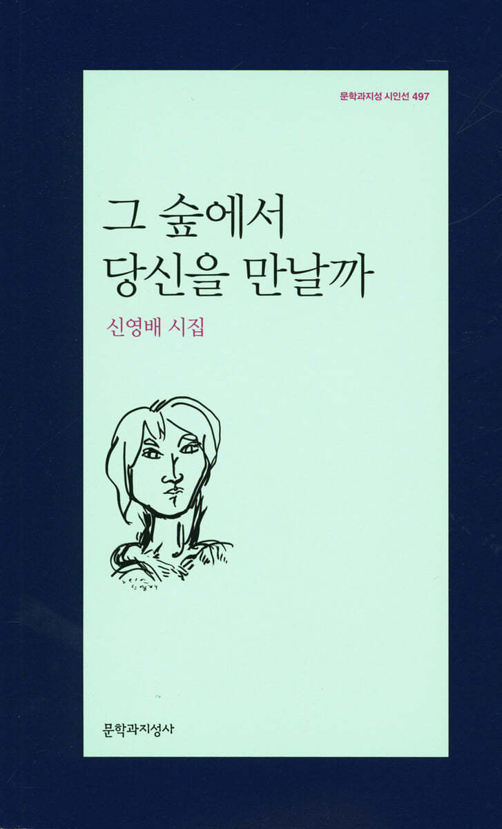 그 숲에서 당신을 만날까 - 문학과지성 시인선-497