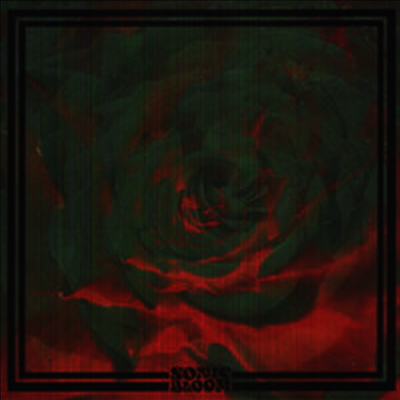 Night Beats — Sonic Bloom 앨범 커버