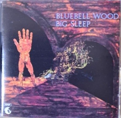 Big Sleep (빅 슬립) - Bluebell Wood