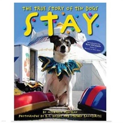 Stay, The True Story of Ten Dogs