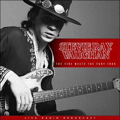 Stevie Ray Vaughan — Best Of The Fire Meets The Fury 1989 앨범 커버