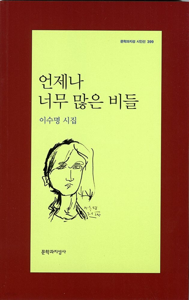 언제나 너무 많은 비들 - 문학과지성 시인선 399