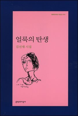 얼룩의 탄생 - 문학과지성 시인선 414