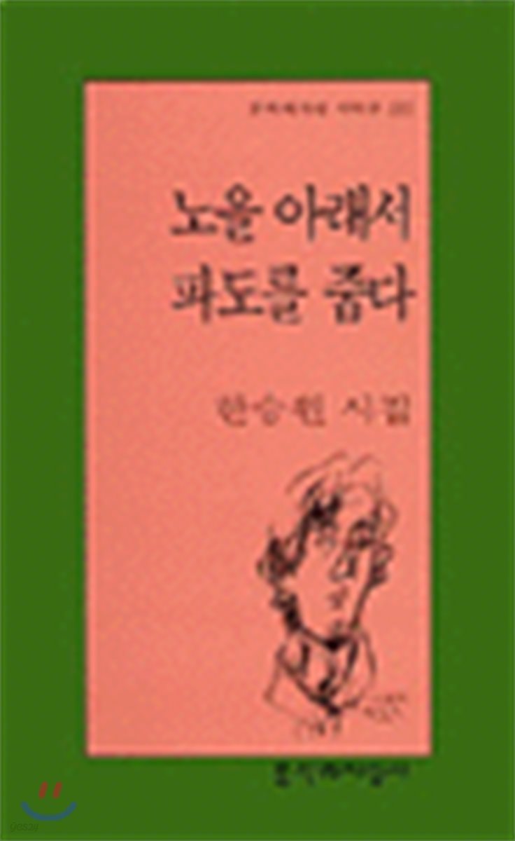 노을 아래서 파도를 줍다