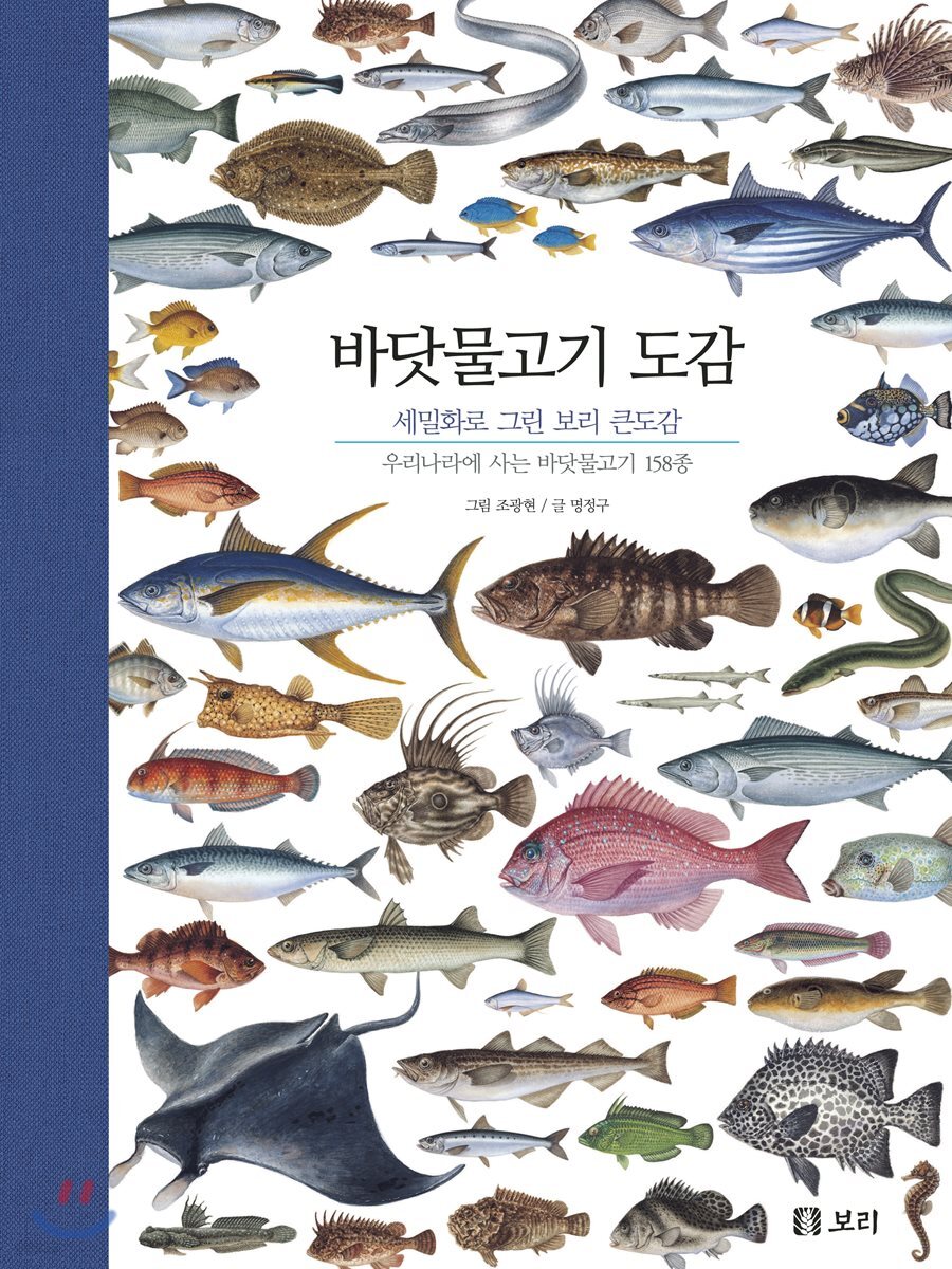 바닷물고기 도감