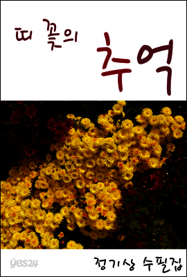 띠 꽃의 추억