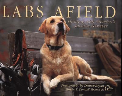 Labs Afield