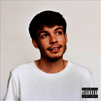 Rex Orange County — Pony 앨범 커버