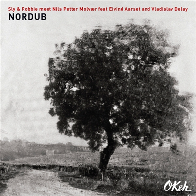 Sly & Robbie / Nils Petter Molvaer / Eivind Aarset / Vladislav Delay - Nordub (CD)