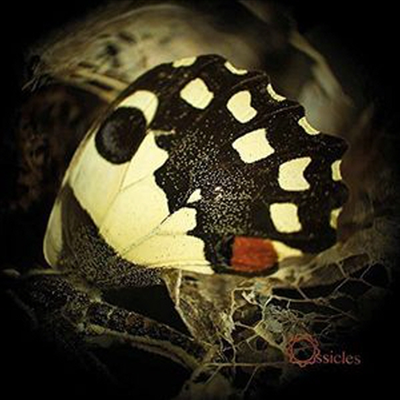 Ossicles - Music For Wastelands (CD)