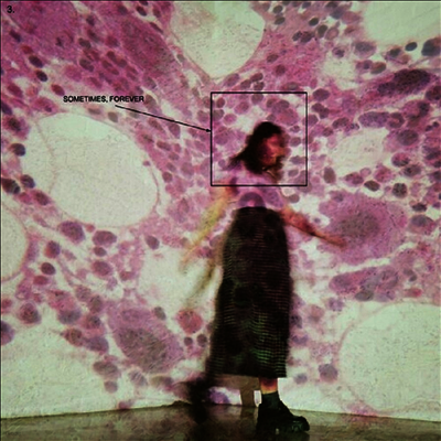 Soccer Mommy - Sometimes, Forever (CD)