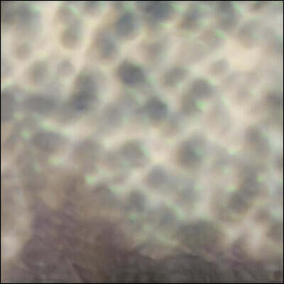 Carlos Cipa — Carlos Cipa 카를로스 치파 피아노 연주집 (Ourselves, as we are) 앨범 커버