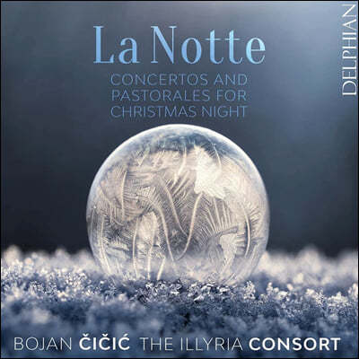 Bojan Cicic ũ   ְ  (La Notte - Concertos and Pastorales for Christmas Night)