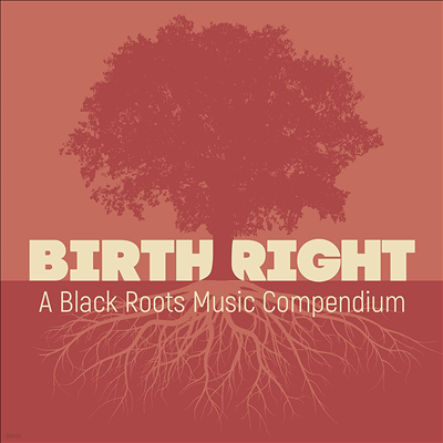 Various Artists - Birthright: A Black Roots Music Compendium