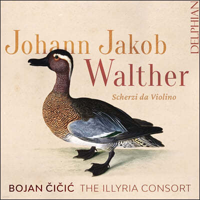Bojan Cicic   : ̿ø  ɸ (Walther: Scherzi da Violino)