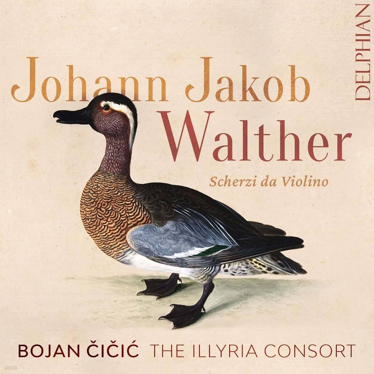 Bojan Cicic 요한 야코프 발터: 바이올린을 위한 스케르초 (Walther: Scherzi da Violino)