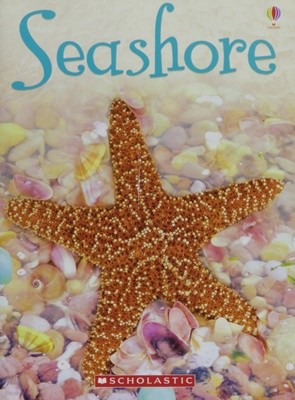Seashore (Usborne Beginners) Paperback ? January 1, 2009