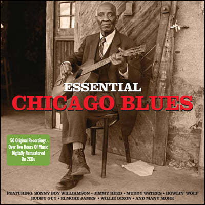 ī 罺 ÷ (Essential Chicago Blues)