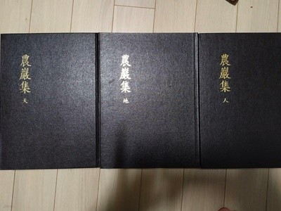 農巖集 (천지인 전3책, 순한문본, 2010 초판) 농암집