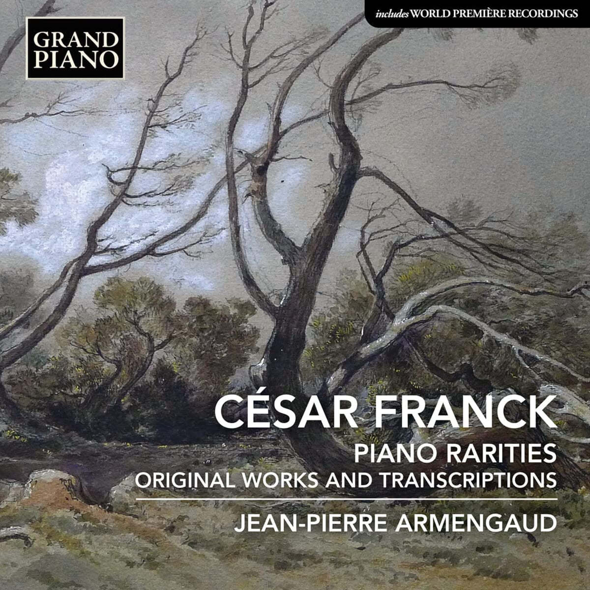 Jean-Pierre Armengaud 프랑크: 희귀한 피아노 작품들 (Franck: Piano Rarities &amp; Original Works and Transcriptions)