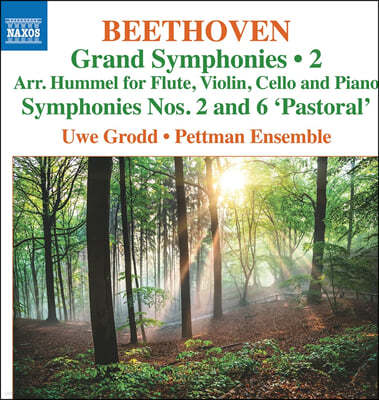 Uwe Grodd 亥:  2, 6 [ɸ , ǳ ] (Beethoven: Grand Symphonies, Vol. 2)