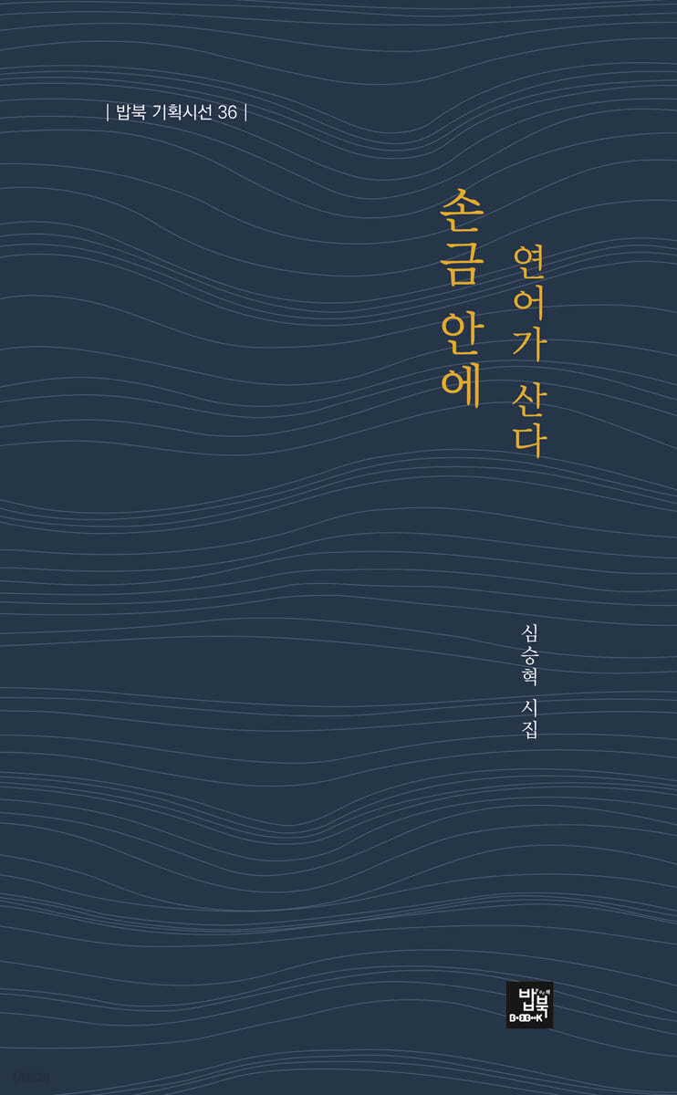 손금 안에 연어가 산다