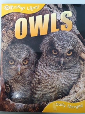 OWLS