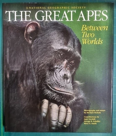 The Great Apes - Between Two Worlds / 마이클 니콜스 (지은이) | Natl Geographic Society [영어원서 / 상급] 