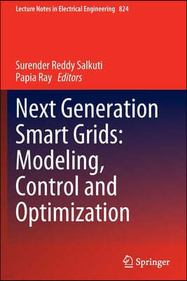 Next Generation Smart Grids: Modeling, Control and Optimization