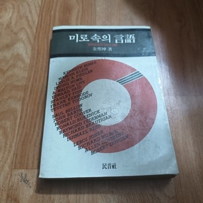 미로속의 언어 - 현대미국작가와의 대화