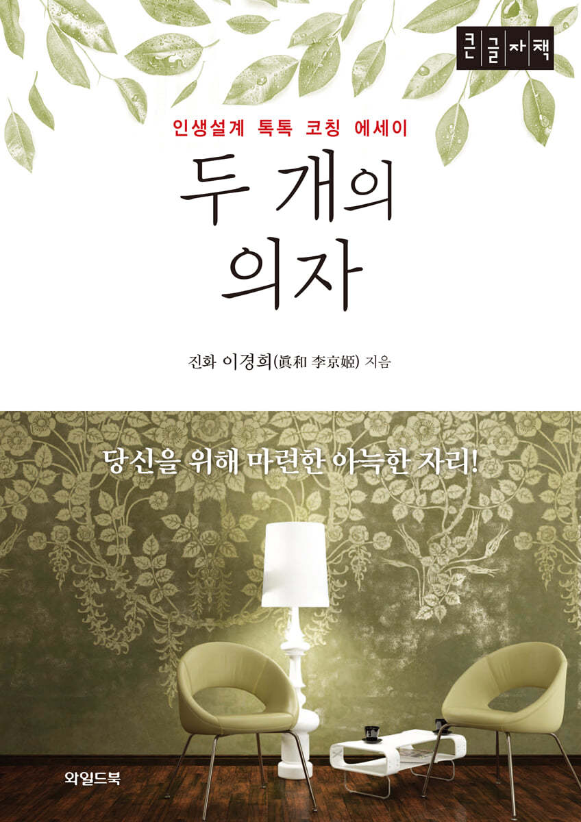 두 개의 의자 (큰글자책)
