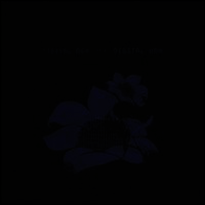Bright Eyes — Digital Ash In A Digital Urn 앨범 커버
