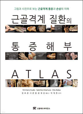 근골격계 질환의 통증 해부 ATLAS