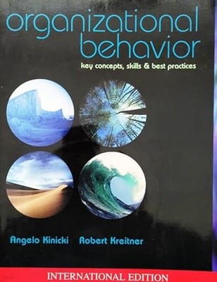 Organizational Behavior: Key Concepts, Skills & Best Practices (international edition)