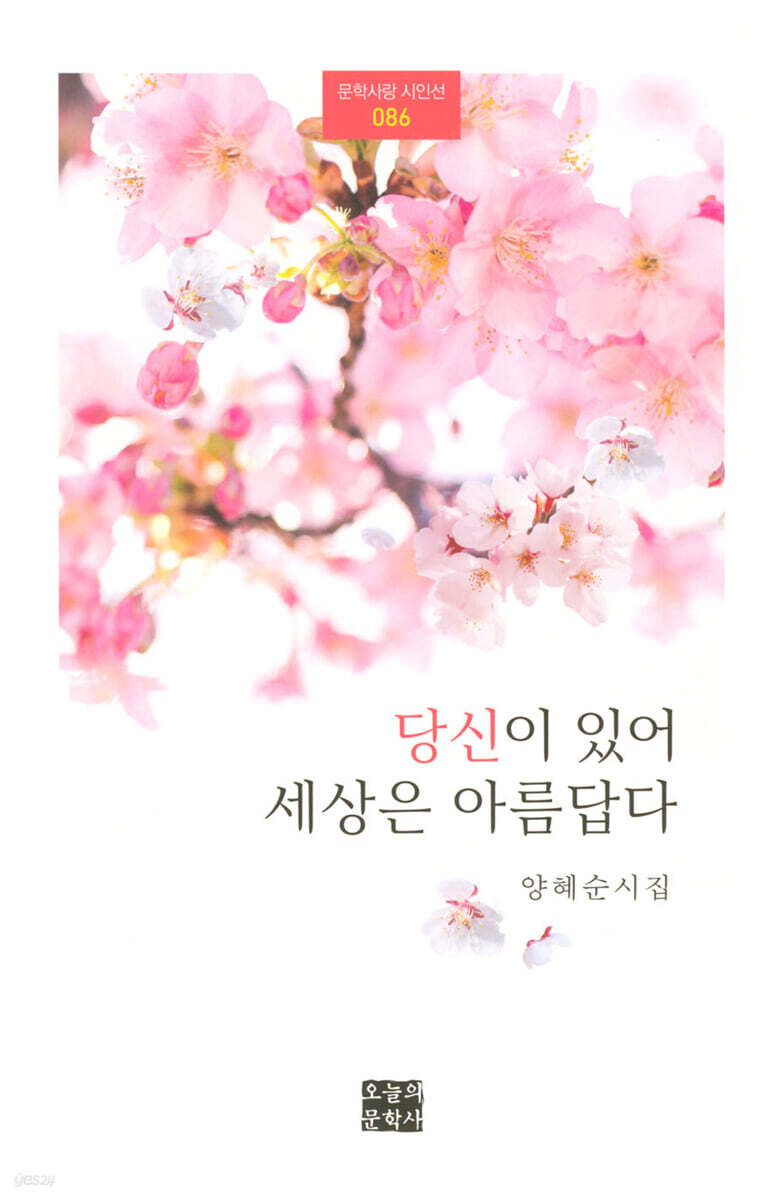 당신이 있어 세상은 아름답다