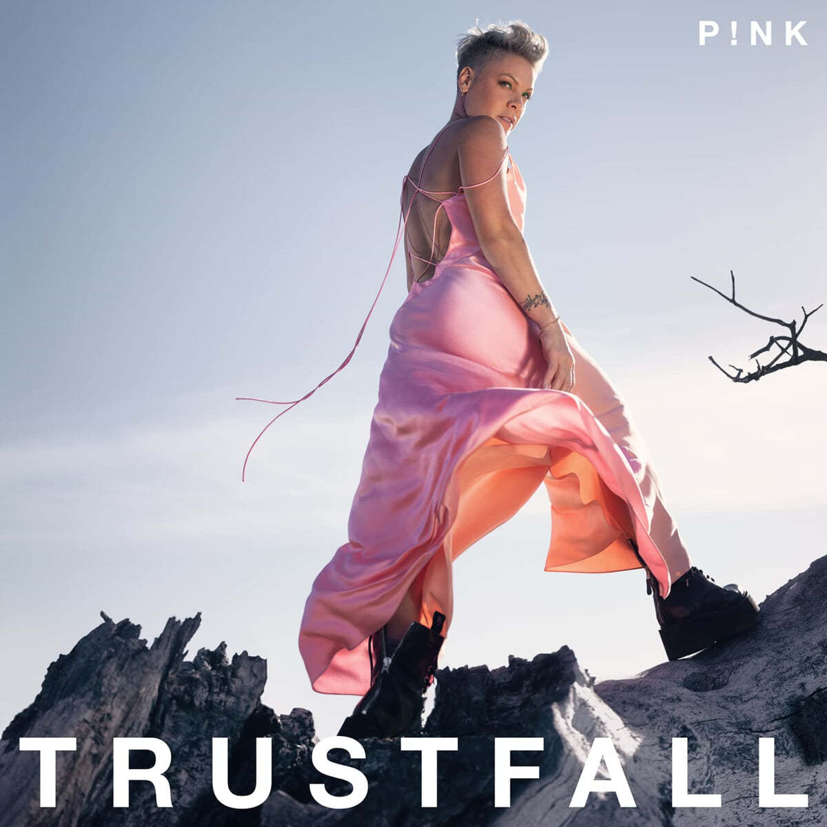 PiNK (핑크) - 9집 Trustfall [LP]