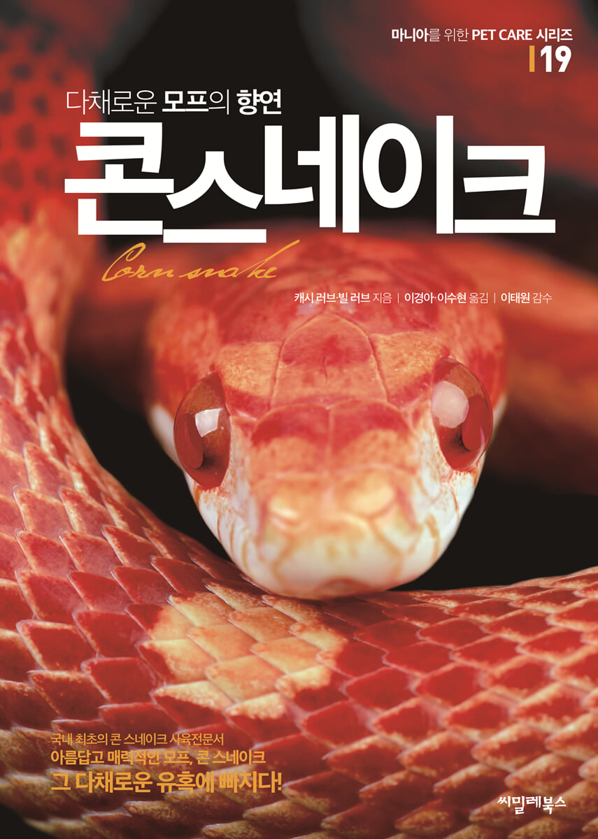 다채로운 모프의 향연 콘 스네이크