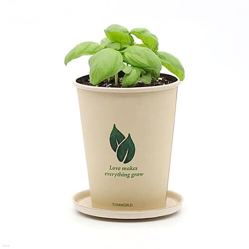 반려식물 화분재배키트 에코컵가든 꽃집사 식물키우기