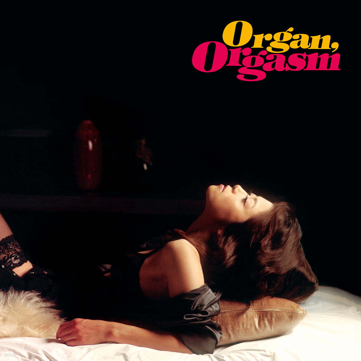 림지훈 - Organ, Orgasm [레드 컬러 LP]