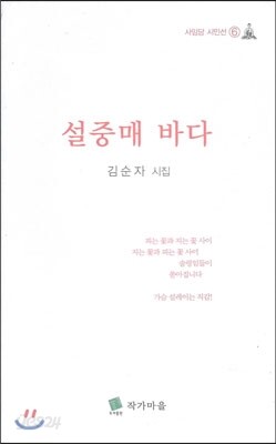 설중매 바다