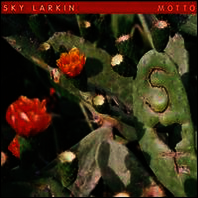 Sky Larkin — Motto 앨범 커버